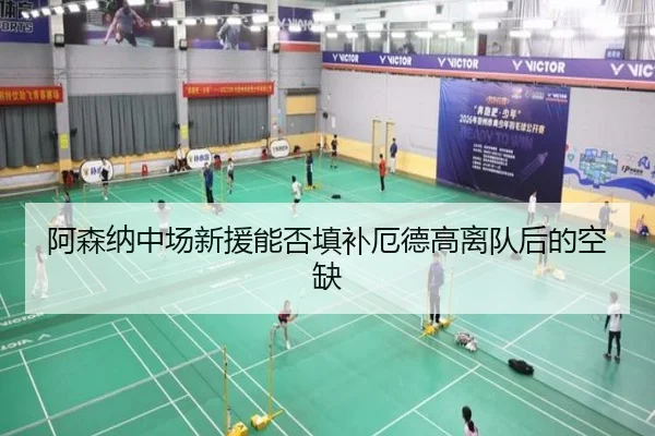 阿森纳中场新援能否填补厄德高离队后的空缺