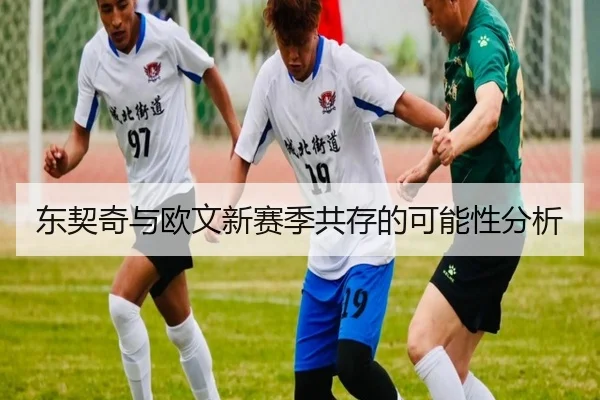 东契奇与欧文新赛季共存的可能性分析